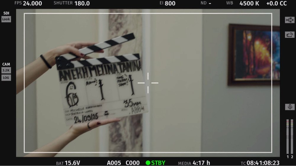 Nekki Sehmbi on set, camera monitor frame
